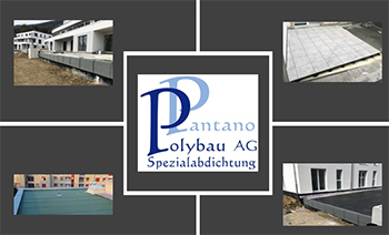pantano1.jpg